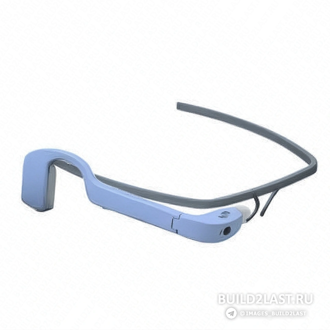 Google Glass         