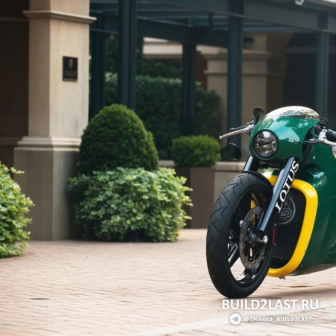  Lotus C-01         ,   .